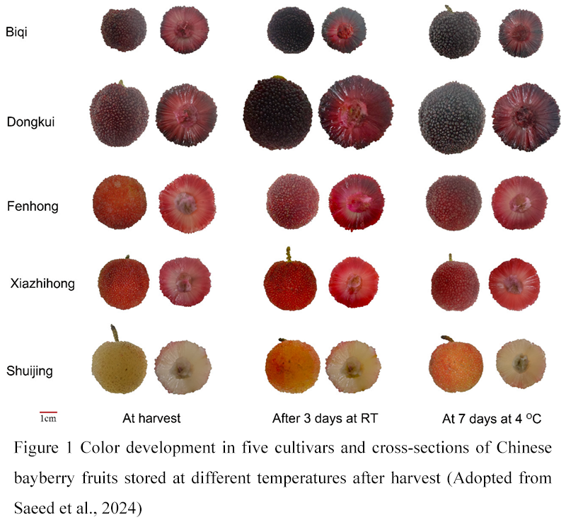 Study on Precision Fertilization and Regulation Technology for