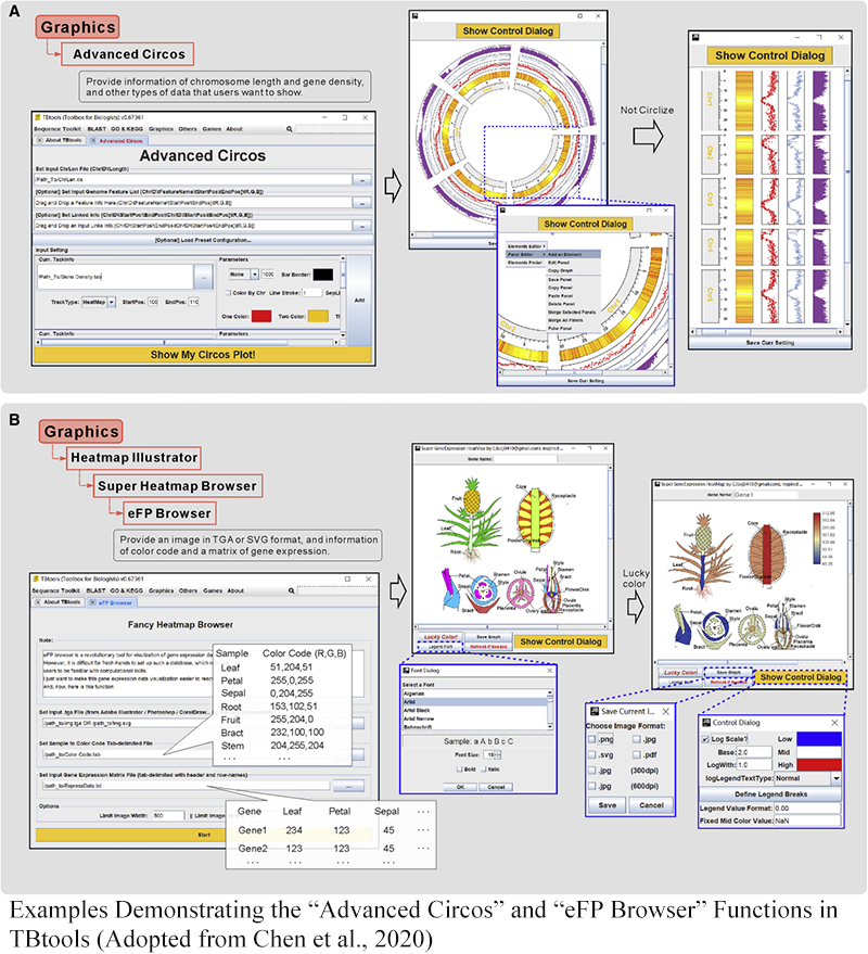 Bioinformatics in the Age of Big Data: Leveraging Computational